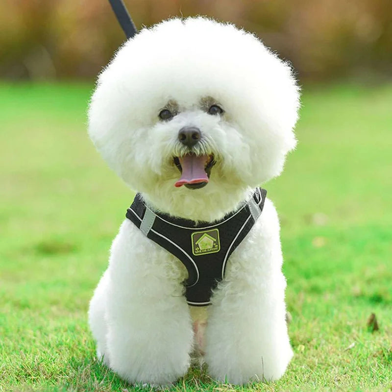 Adjustable Control Vest - No Pull Dog Pet Harness