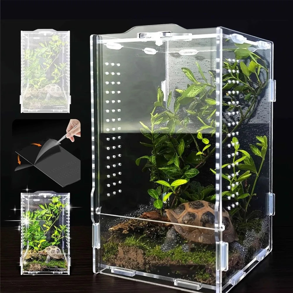 Acrylic Jumping Spider Enclosure Buckle Lock Transparent Reptile Feeding Tank Ventilated Escape Proof Spider House