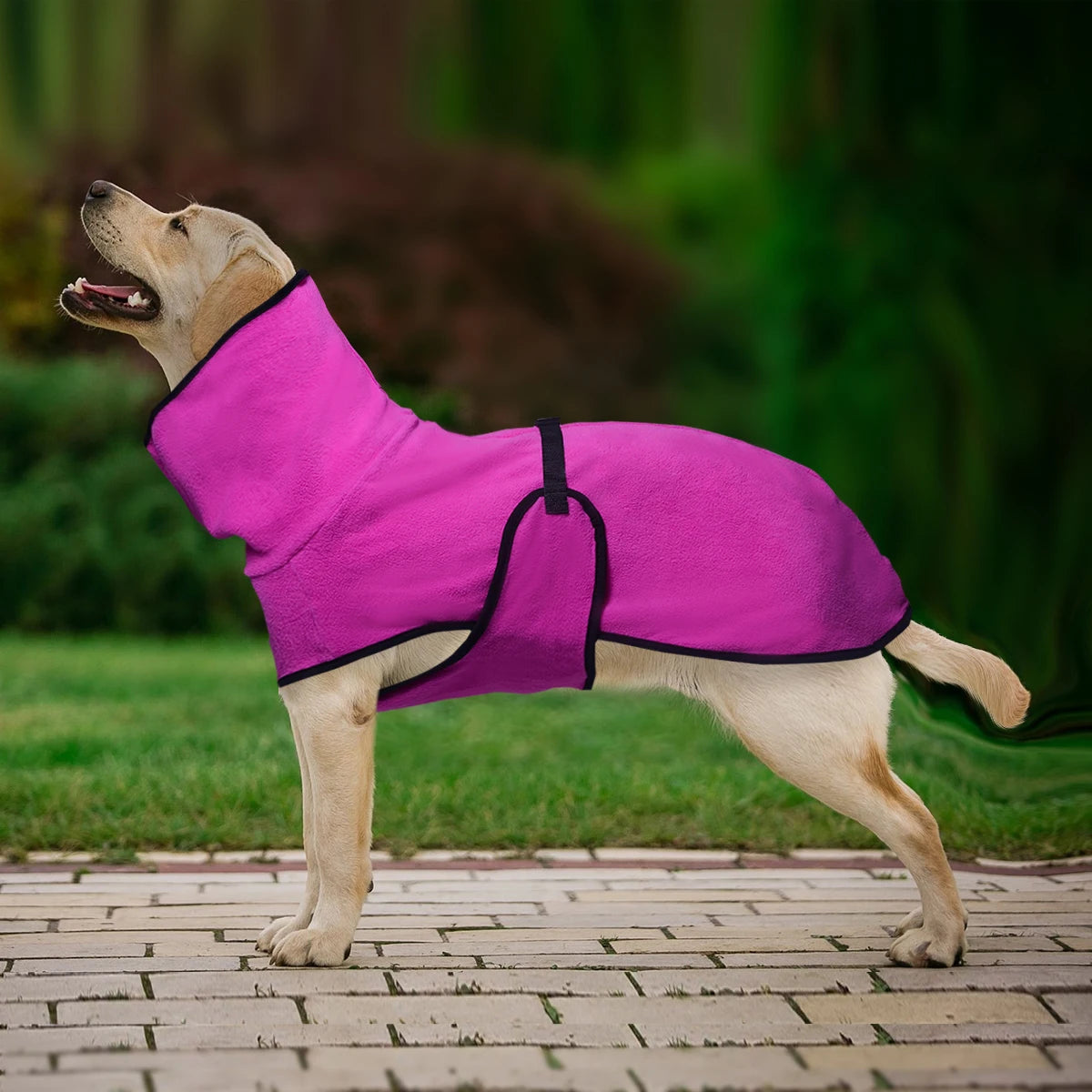 Dog Winter Coat Jumper, with Warm Lining and Adjustable Band