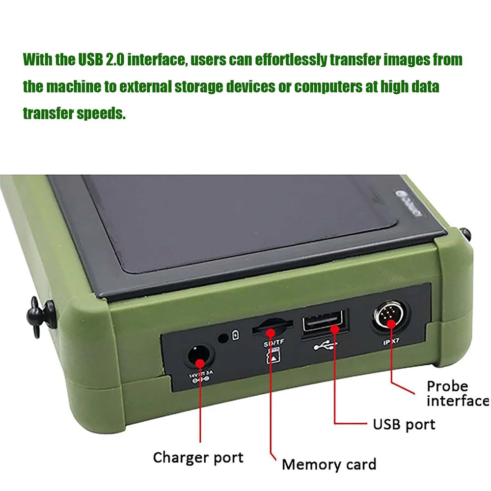 Portable Veterinary Ultrasound Scanner for Pregnancy Vet B Ultra Machine with 3.5MHz Convex Probe