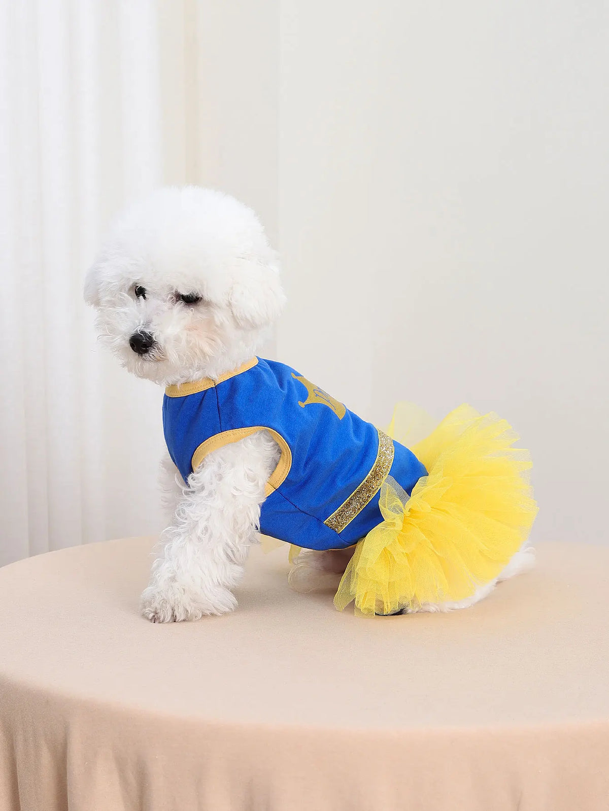 Crown Princess Dog Tutu Dress