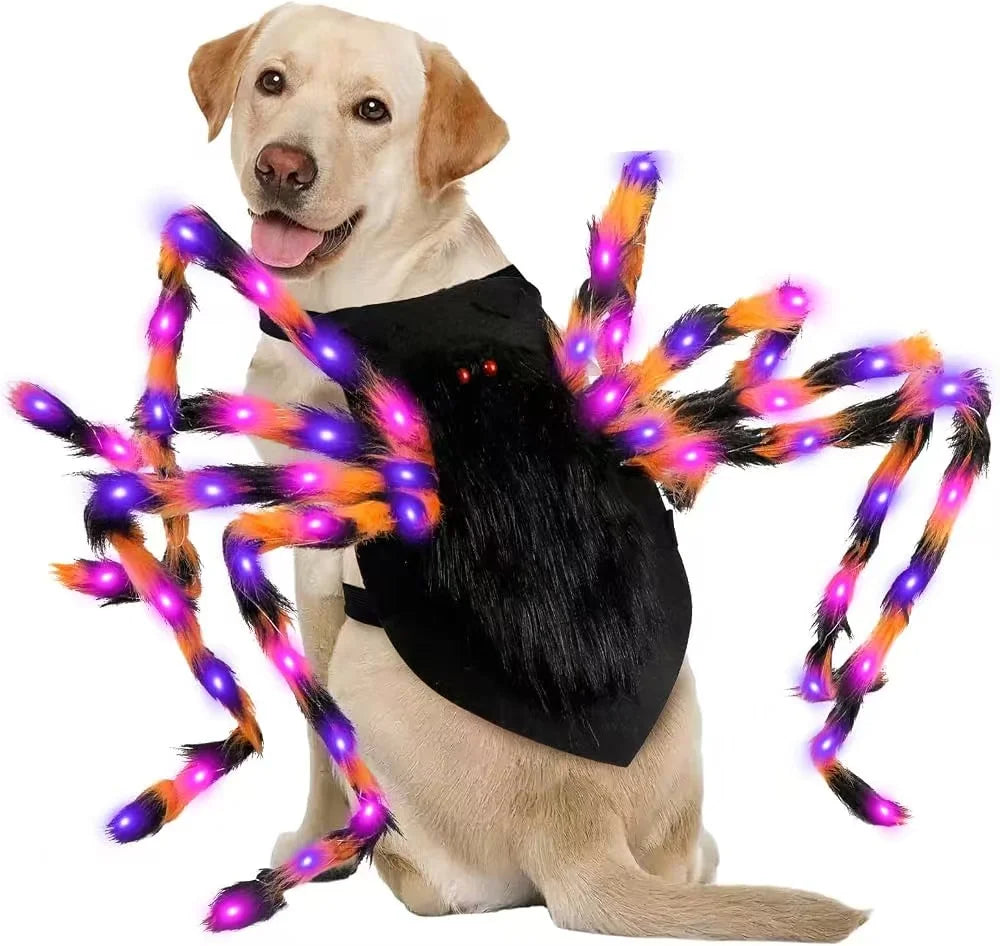 LED Light Up Funny Glowing Spider Dog Halloween Costume