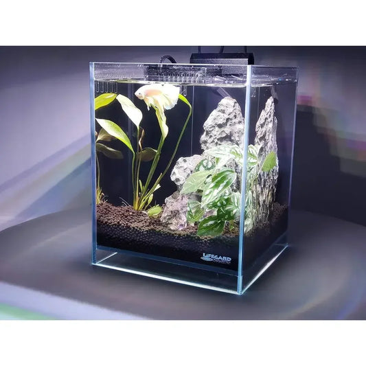 Ultra Clear Crystal Aquarium with Integrated Filter, Rimless Glass, And Beveled Edge