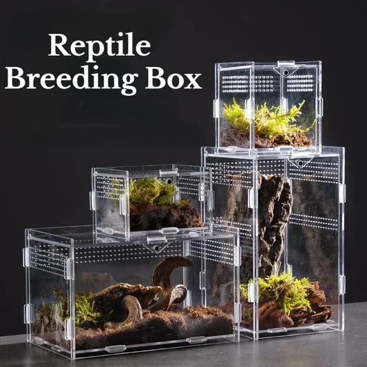 Acrylic Transparent Reptile Terrarium Breeding Box Enclosure Reptile Habitat