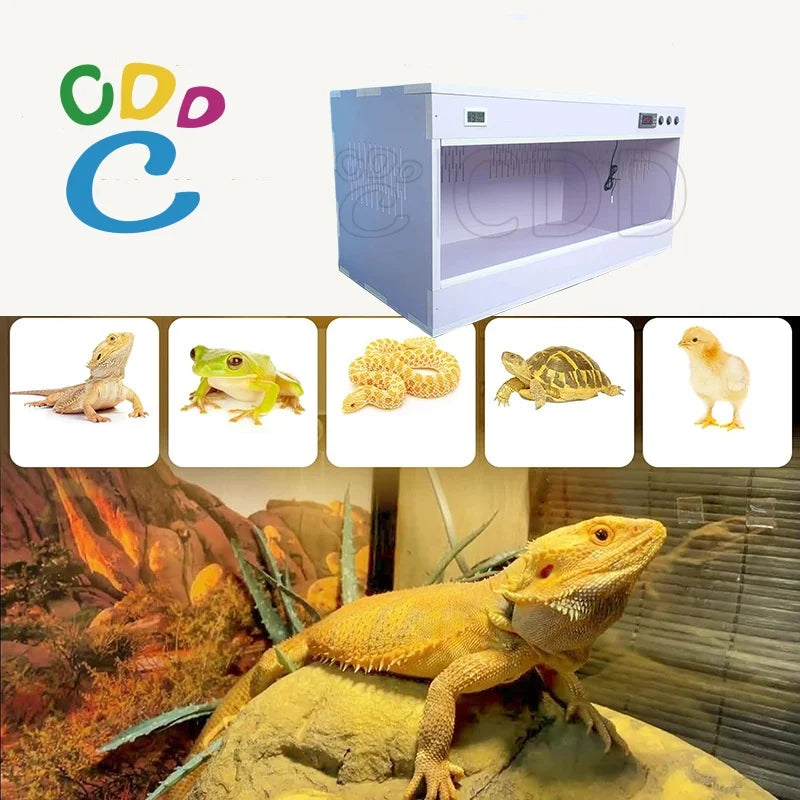 Simple Style 4x2x2 Flat Pack Temperature Control Enclosure for Reptiles
