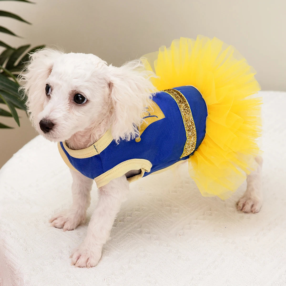 Crown Princess Dog Tutu Dress