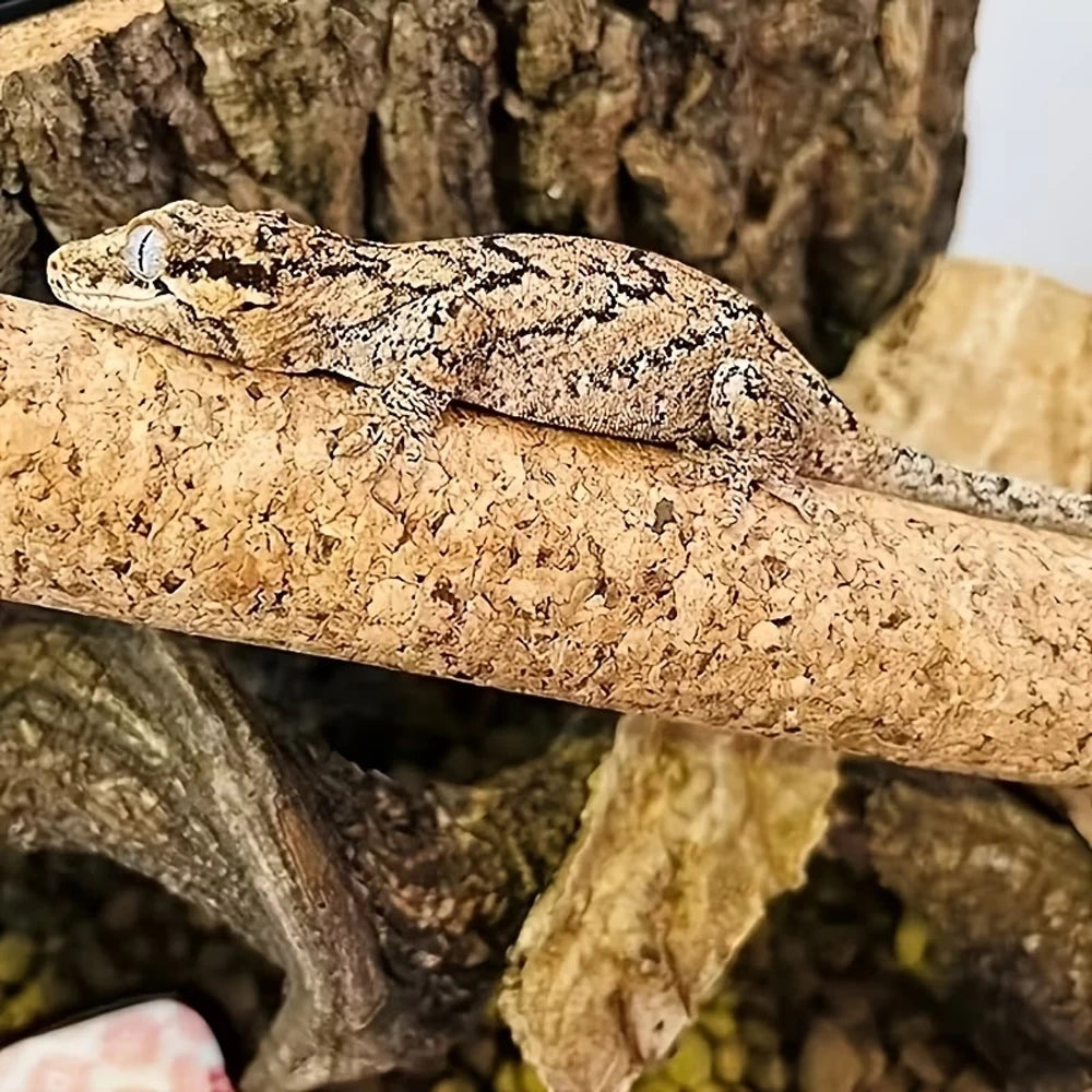 1 PC DIY Cork Branch Reptile Climbing Sticks - Terrarium Habitat Decor - Flexible Wood Logs