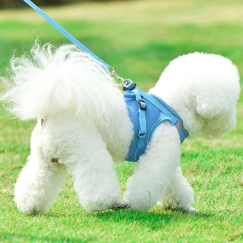 Adjustable Control Vest - No Pull Dog Pet Harness