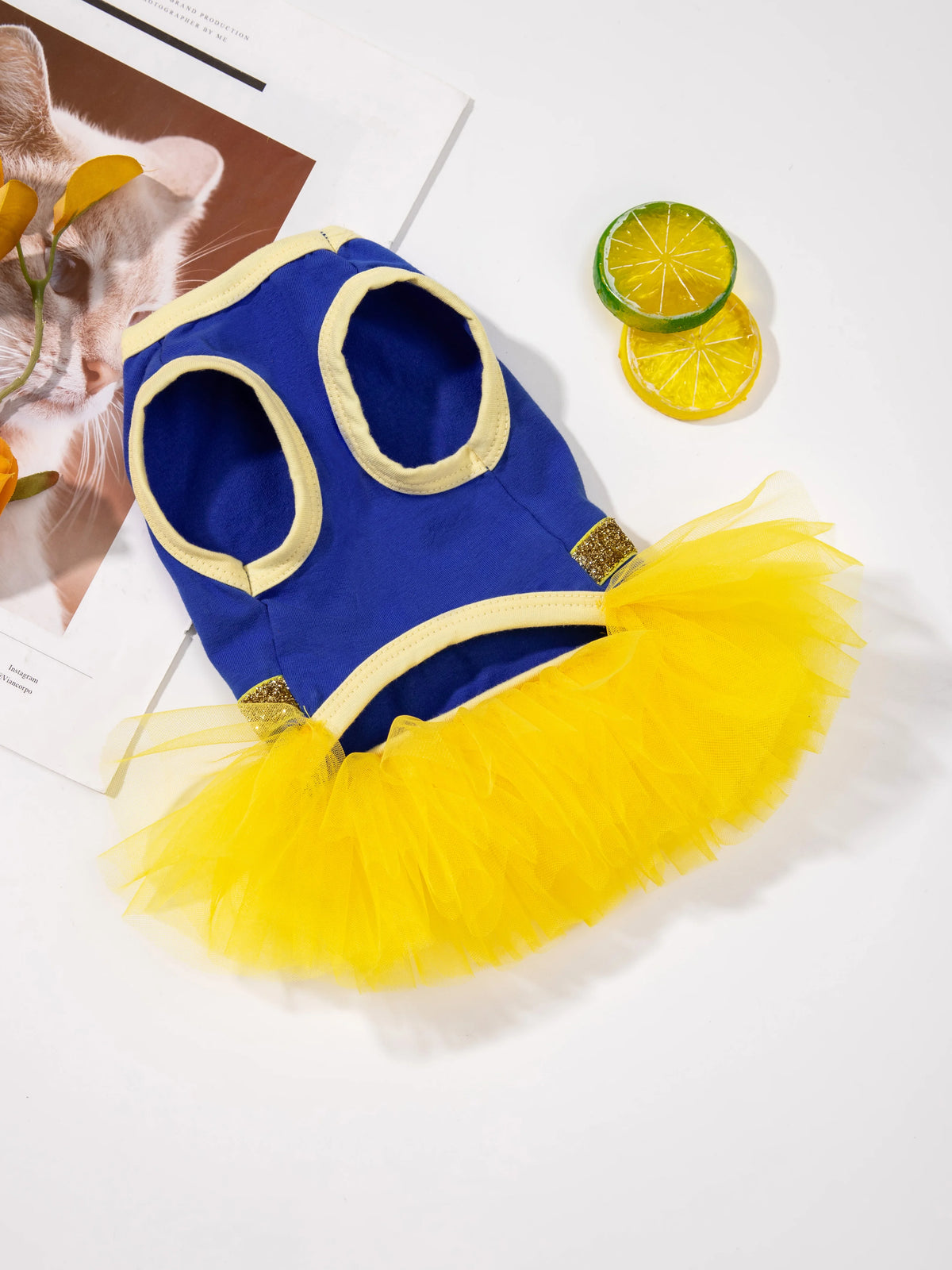 Crown Princess Dog Tutu Dress