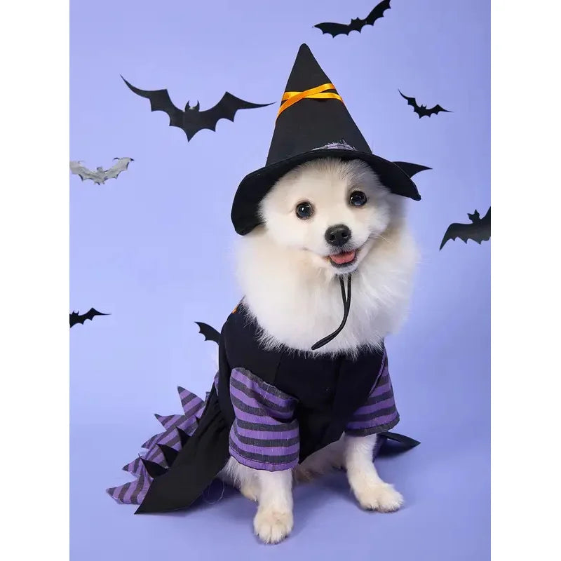 Halloween Pet Witch Costume Fancy Dress