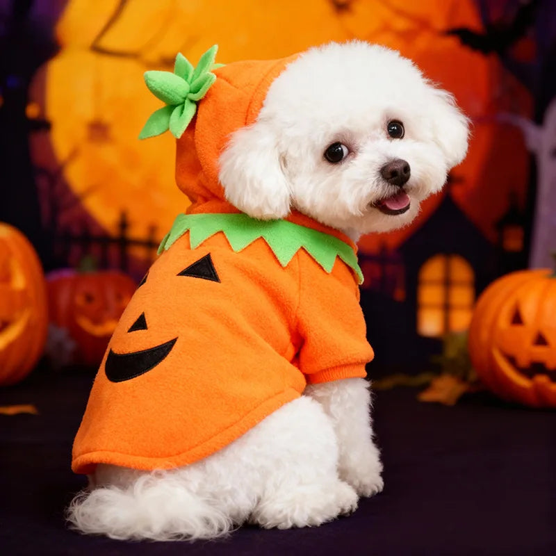 Halloween Pumpkin Pet Costume