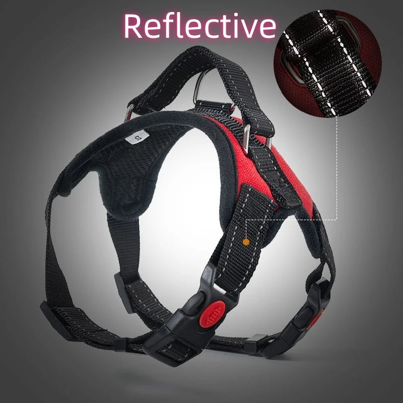 Adjustable Dog Harness