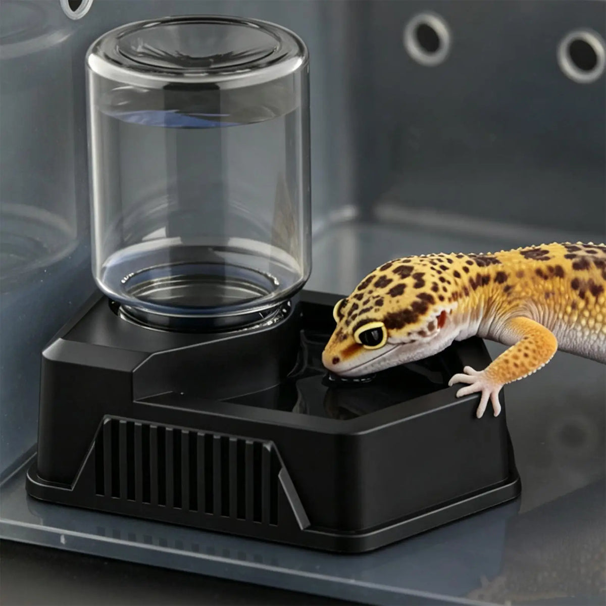 Reptile Water Bowl Anti-slip Water Feeder - Stable Plastic Automatic Water Dispenser