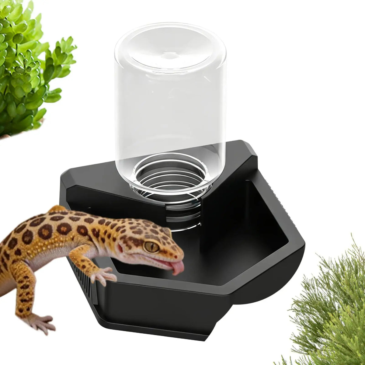 Reptile Water Bowl Anti-slip Water Feeder - Stable Plastic Automatic Water Dispenser