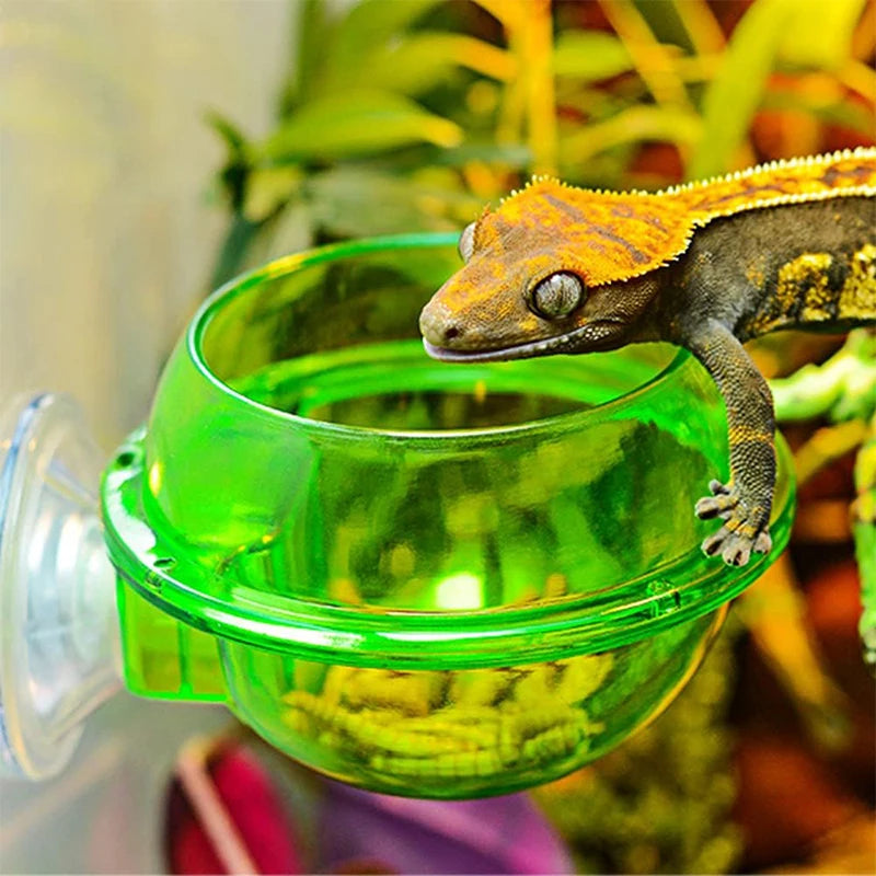 2PCS Suction Cup Reptile Feeder, Chameleon Bowl, Anti-Escape Cup, Water Dish
