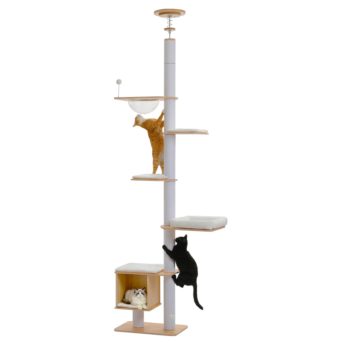 Floor to Ceiling Tree for Indoor Height Adjustable Cat Tower with Sisal Scratching Posts - Washable Mats