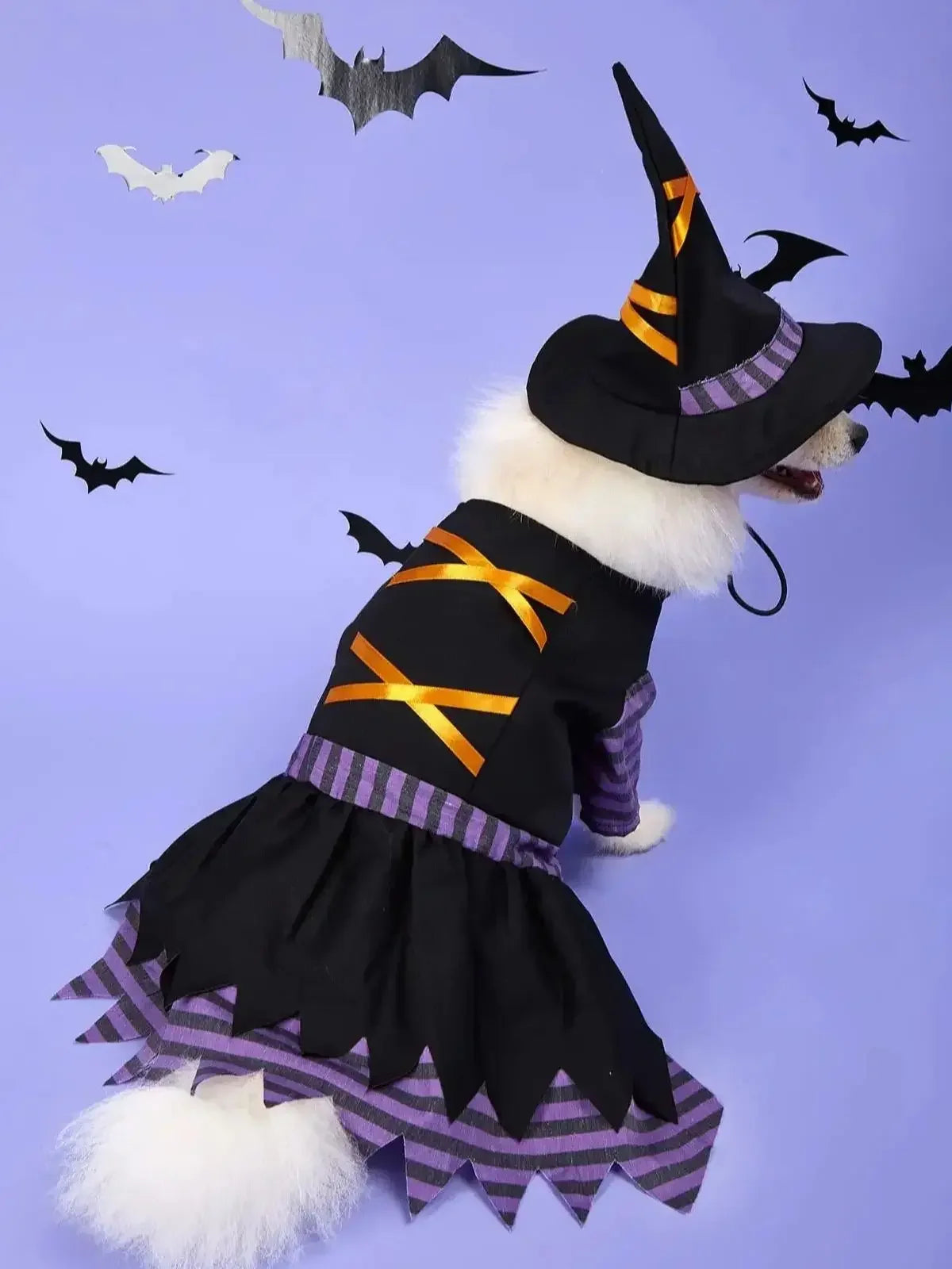 Halloween Pet Witch Costume Fancy Dress