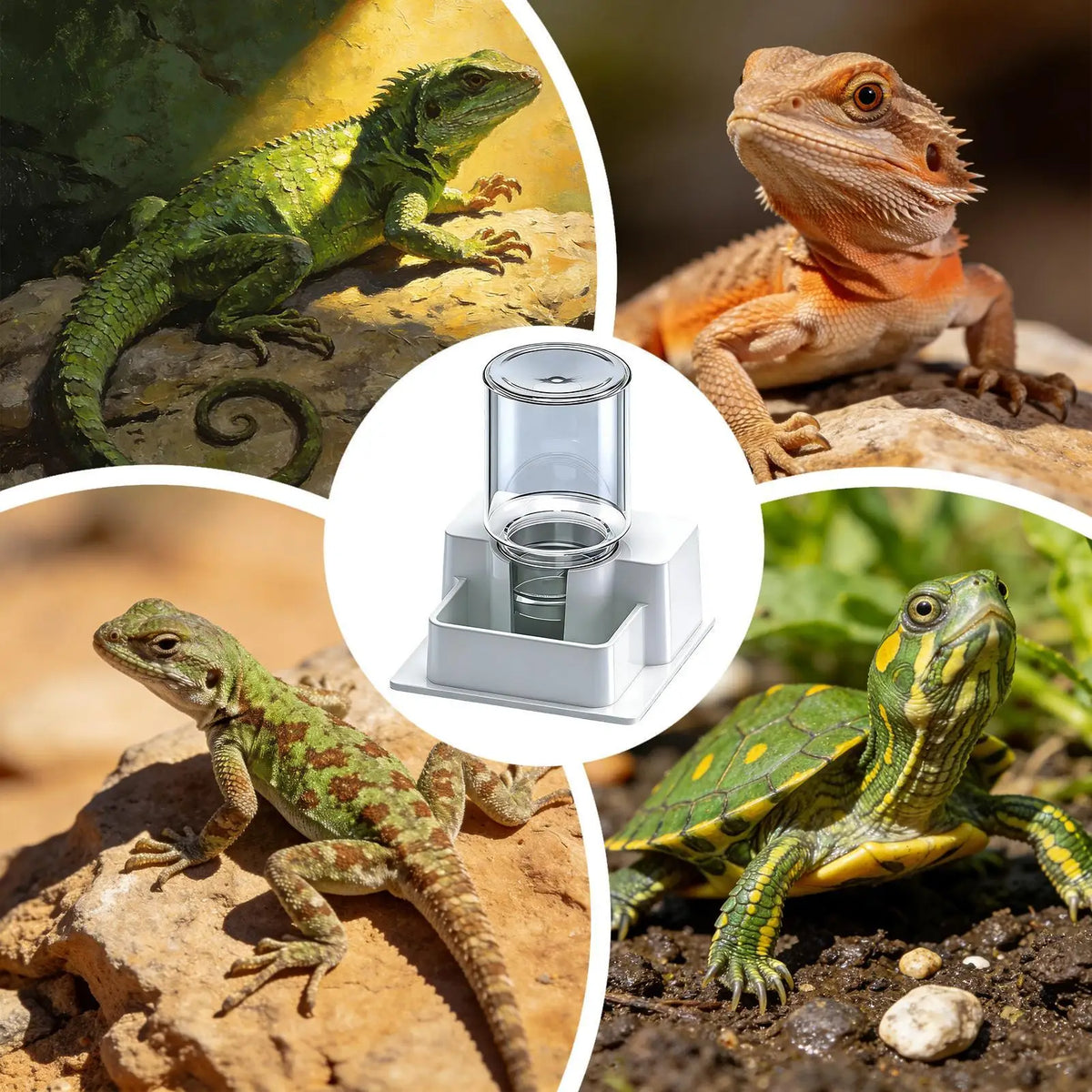 Automatic Gravity Water Dispenser Reptile Feeder Detachable Bowl