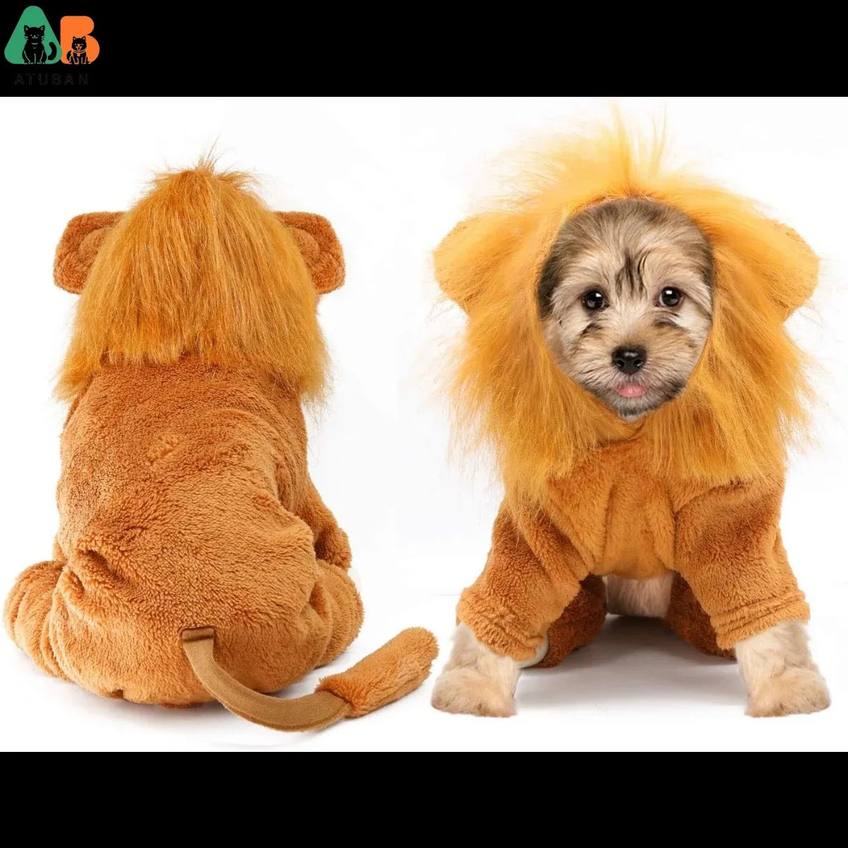Funny Dog Lion Costume