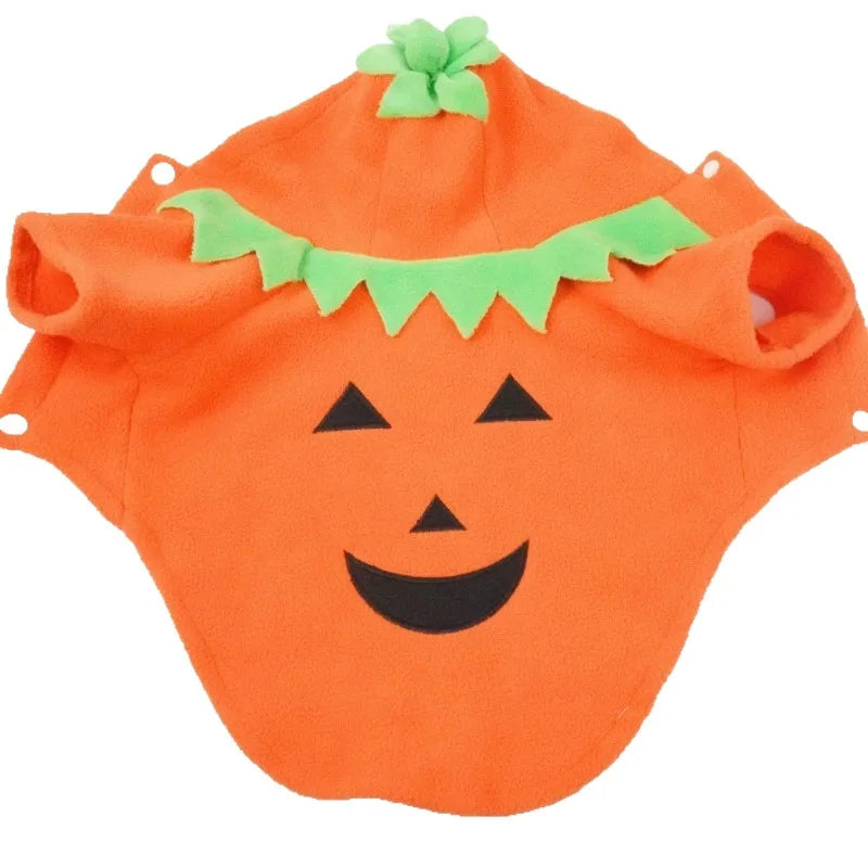 Halloween Pumpkin Pet Costume