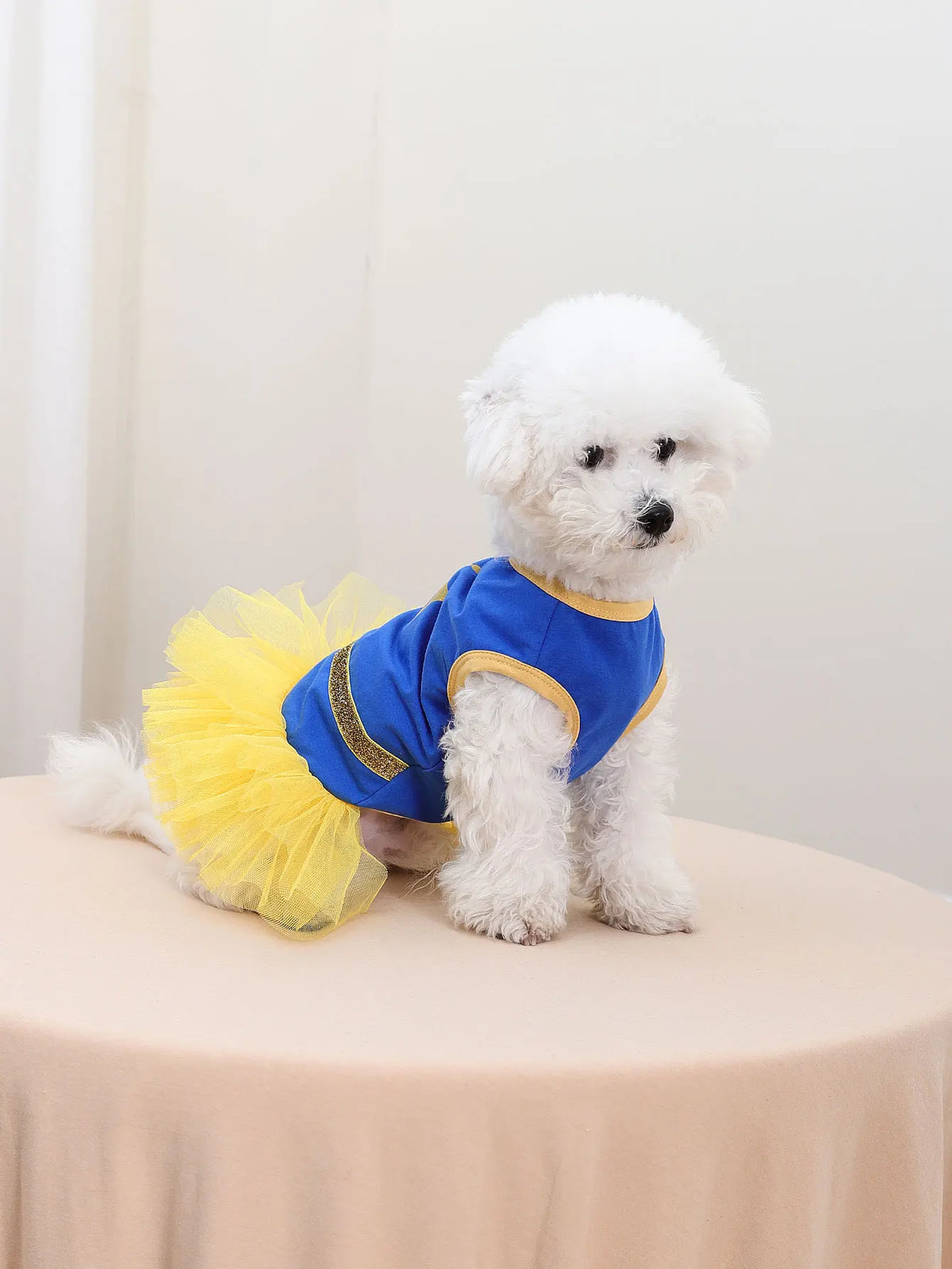 Crown Princess Dog Tutu Dress