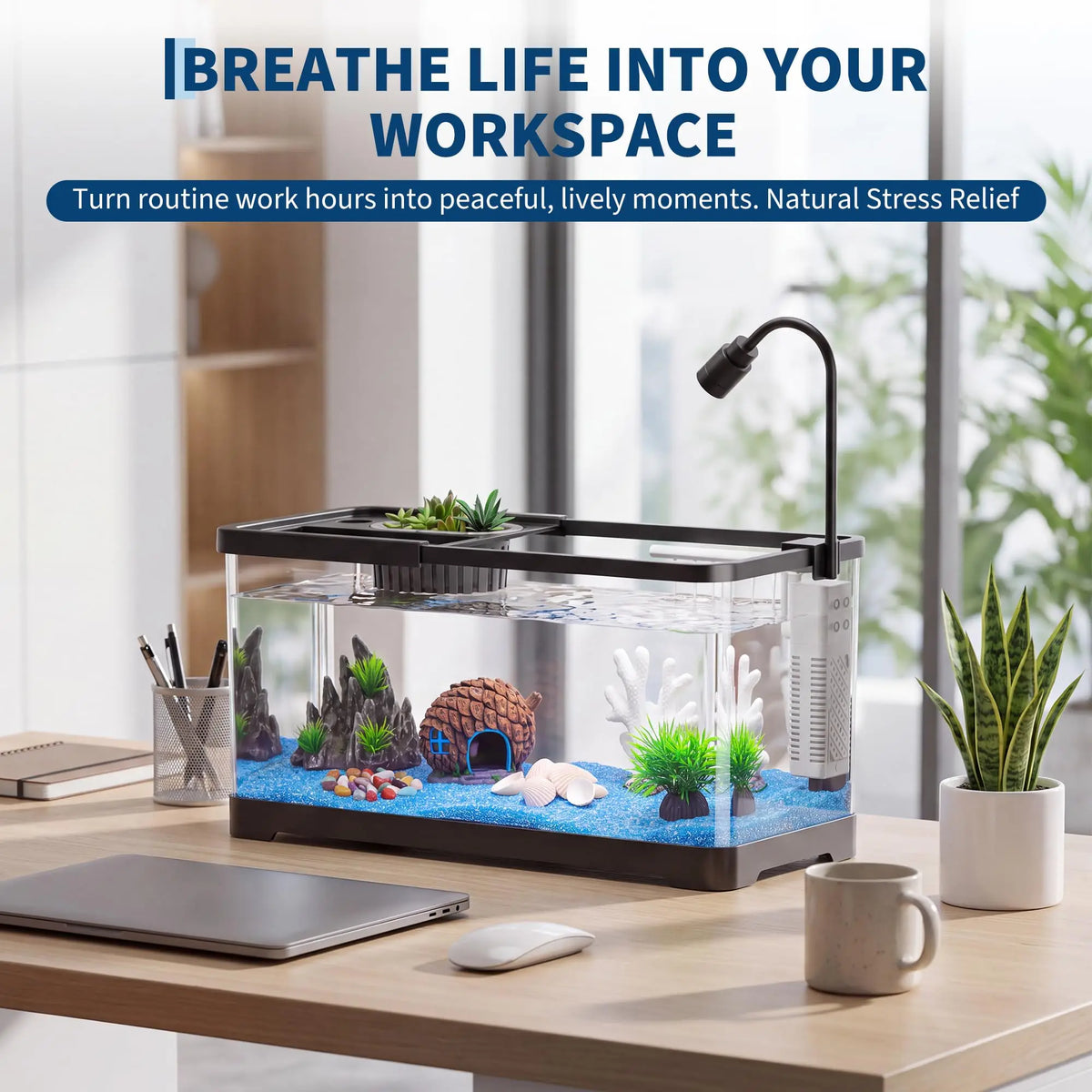 Fish Tank Starter Kit With Filter And Light Plastic Tank