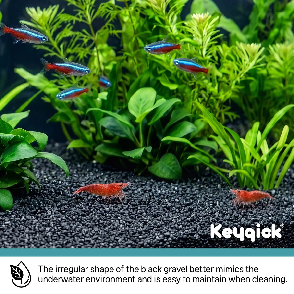 Black Sand Gravel, Decorative Black Sand for Aquarium Fish Tank Substrate, Ideal for Filling Plant Vases And Enhancing Outdoor Decorative Aquariums, Succulents, Pots, Gardening, Crafts, Vase Filler, Plant Decoration, Landscap