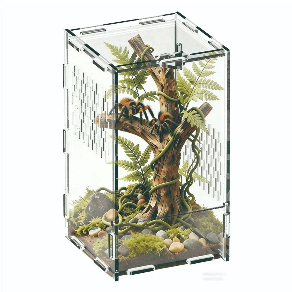 Acrylic Jumping Spider Enclosure Buckle Lock Transparent Reptile Feeding Tank Ventilated Escape Proof Spider House