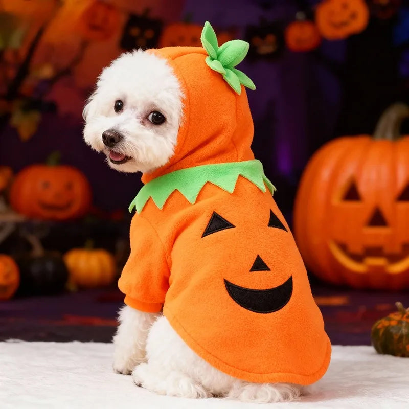 Halloween Pumpkin Pet Costume