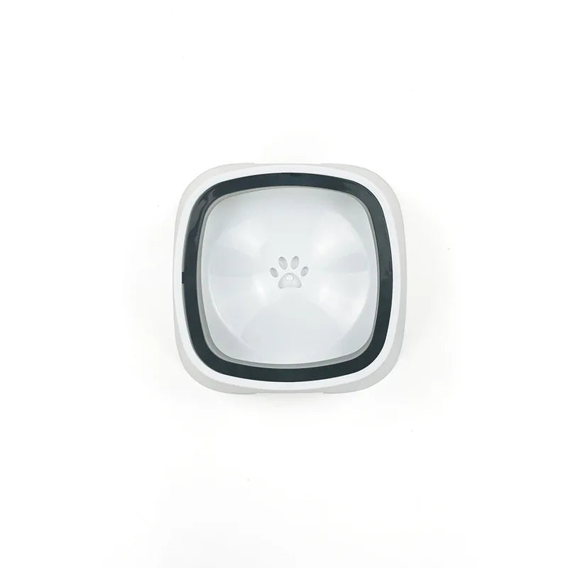 Pet Water Bowl