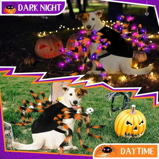 LED Light Up Funny Glowing Spider Dog Halloween Costume