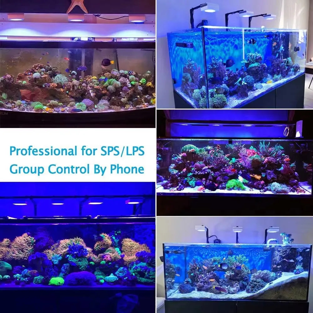 NEW PopBloom RL90 -WiFi Led Aquarium Light - Full Spectrum, Reef Light Marine Aquarium Tank Lamp