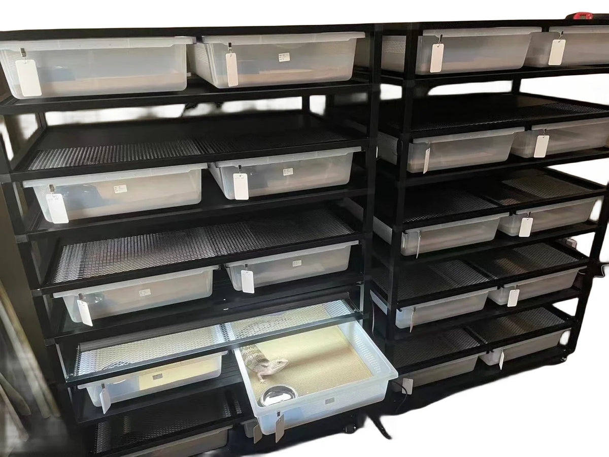 PP PVC Snake Enclosure Snake Hatchling Breeding Rack Reptile Large Snake Rack with Tubs Bin