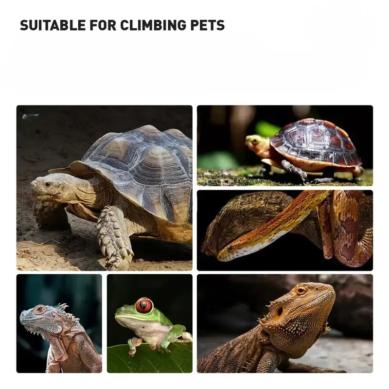 Escape-proof Reptile Glass Terrarium Insulation 4x2x2 Enclosures Durable Large Cage