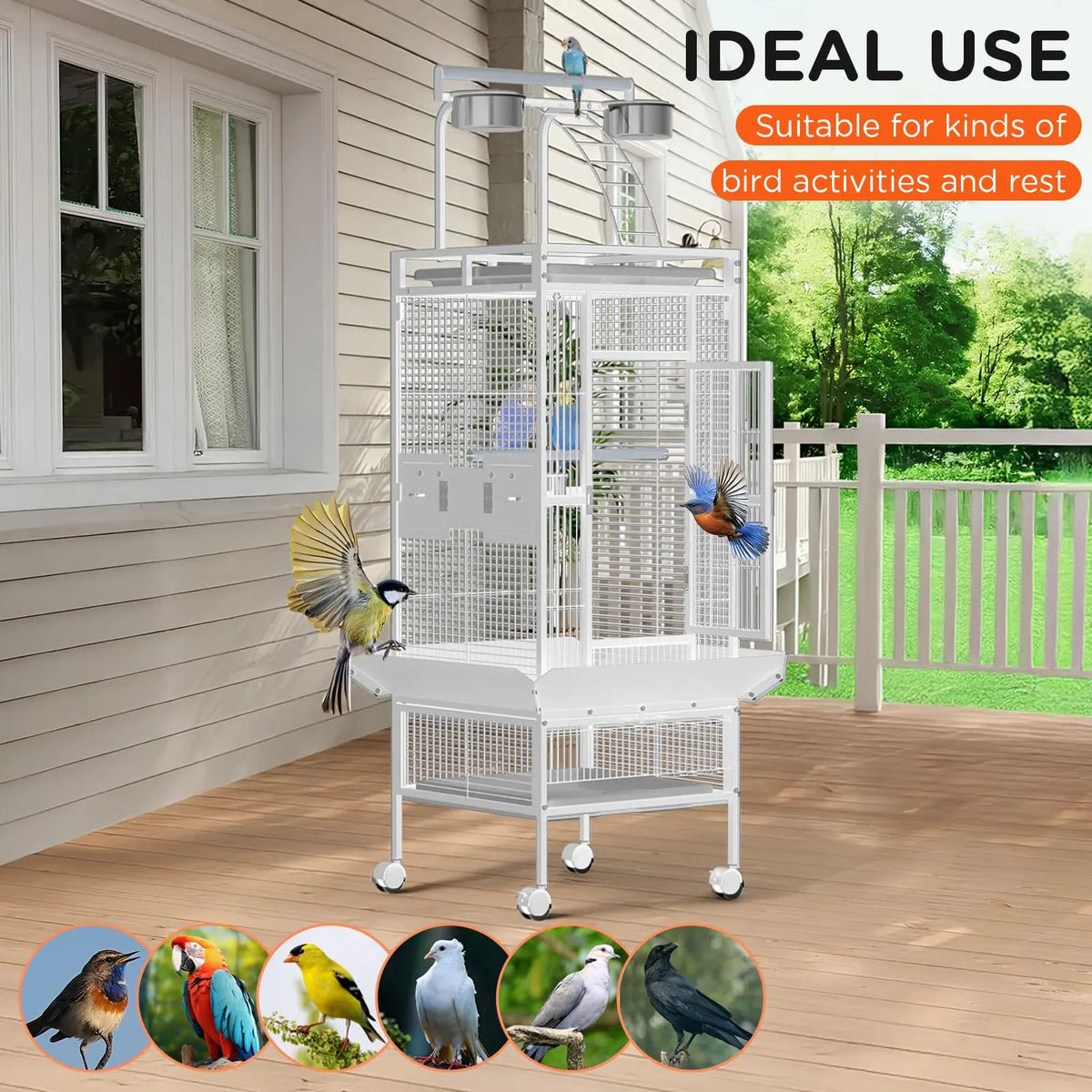60 In. Wrought Iron Bird Cage with Play Top & Rolling Stand - 4 Stainless Steel Bowls, Secure Lock, Easy-Clean Tray - Spacious Metal Cage