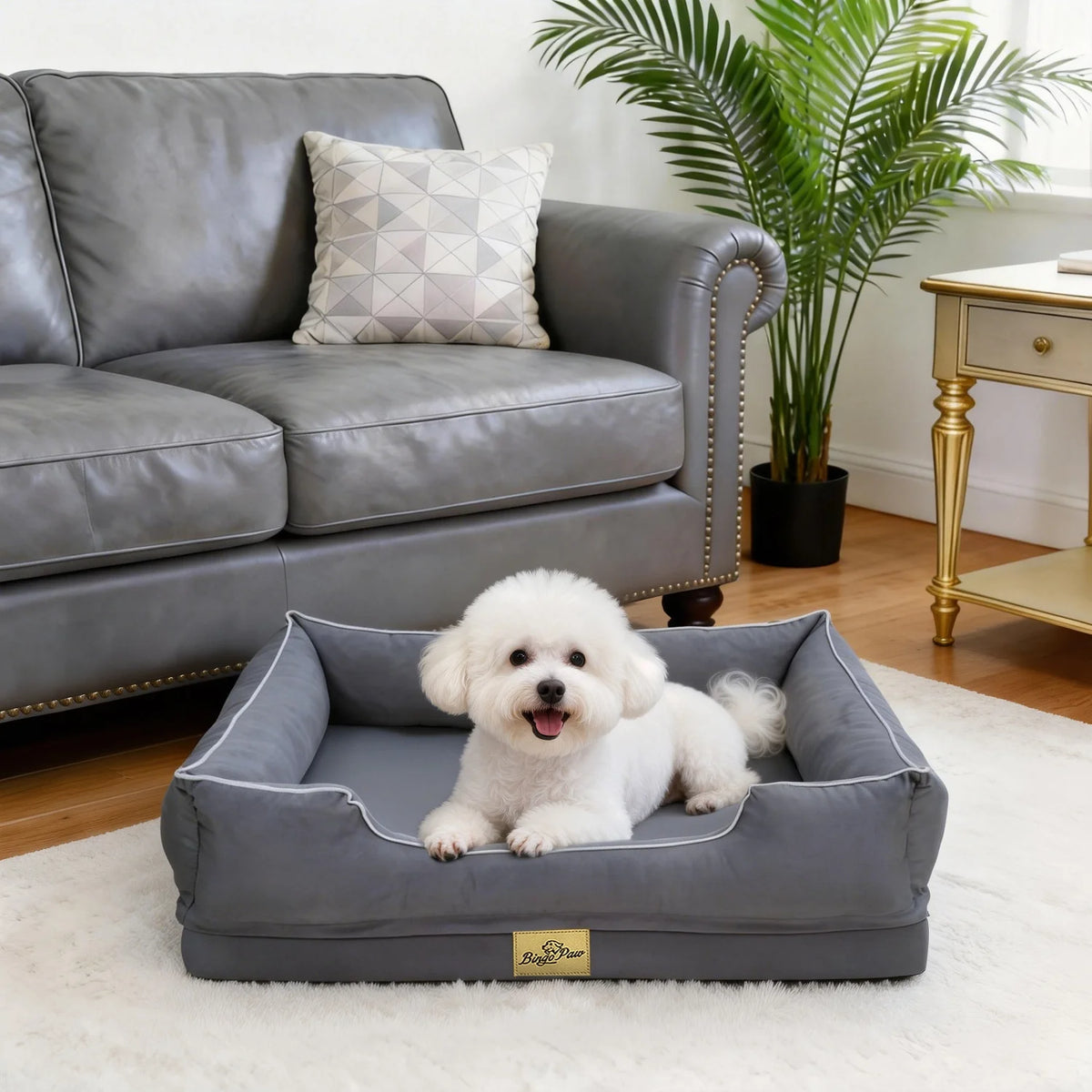 Orthopedic Dog Beds -Dark Grey Pet Sofa Cushion with Removable Machine Washable Cover Foam Base
