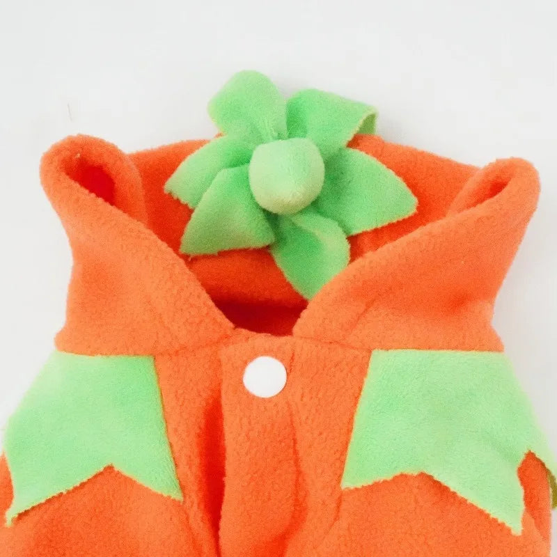 Halloween Pumpkin Pet Costume