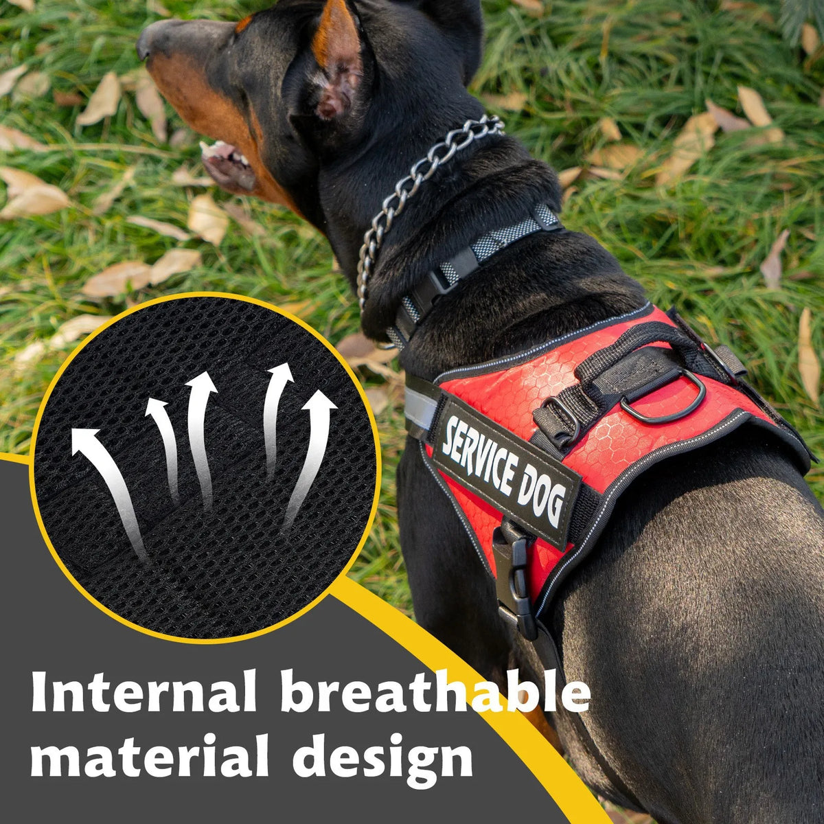 Chest Strap Vest Harness - Explosion Proof Flushing Dog Harness