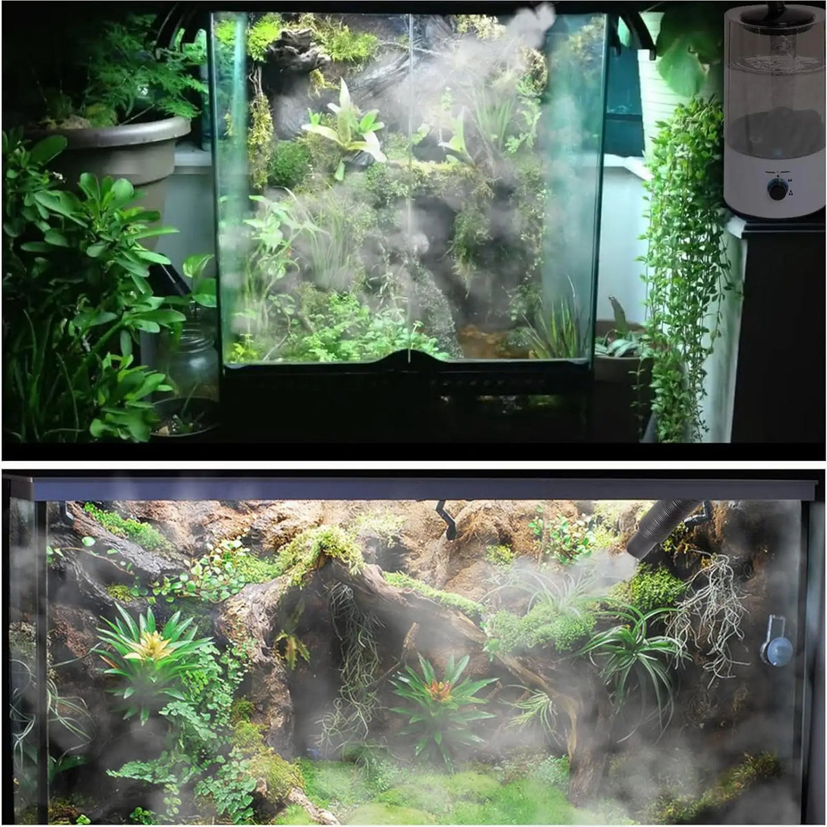 4L Reptile Humidifier Terrarium Fogger Automatic Shutdown Prevents Dry Running with Extension Hose