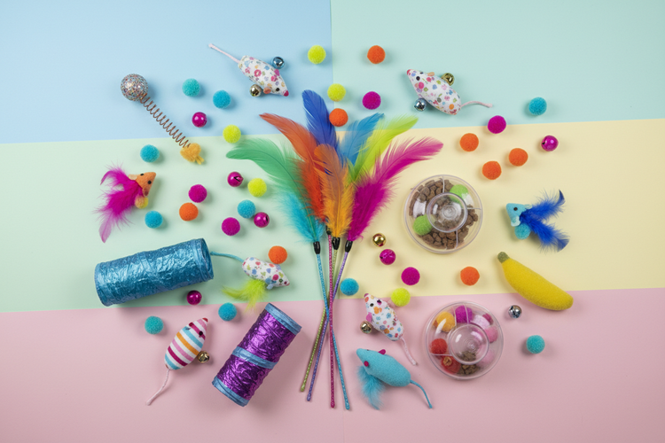 Cat Toys