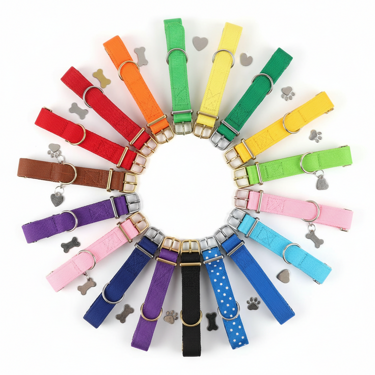 Dog Collars