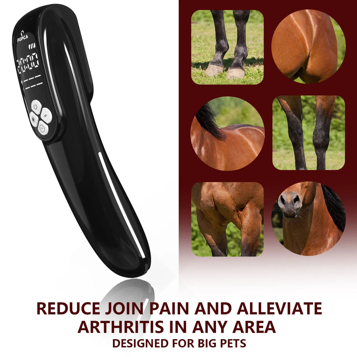 Laser Therapy Device for Horse Pets 3in1 Red Light Therapy Device Muscle Recovery Joint Pain Relief Skin Health Care