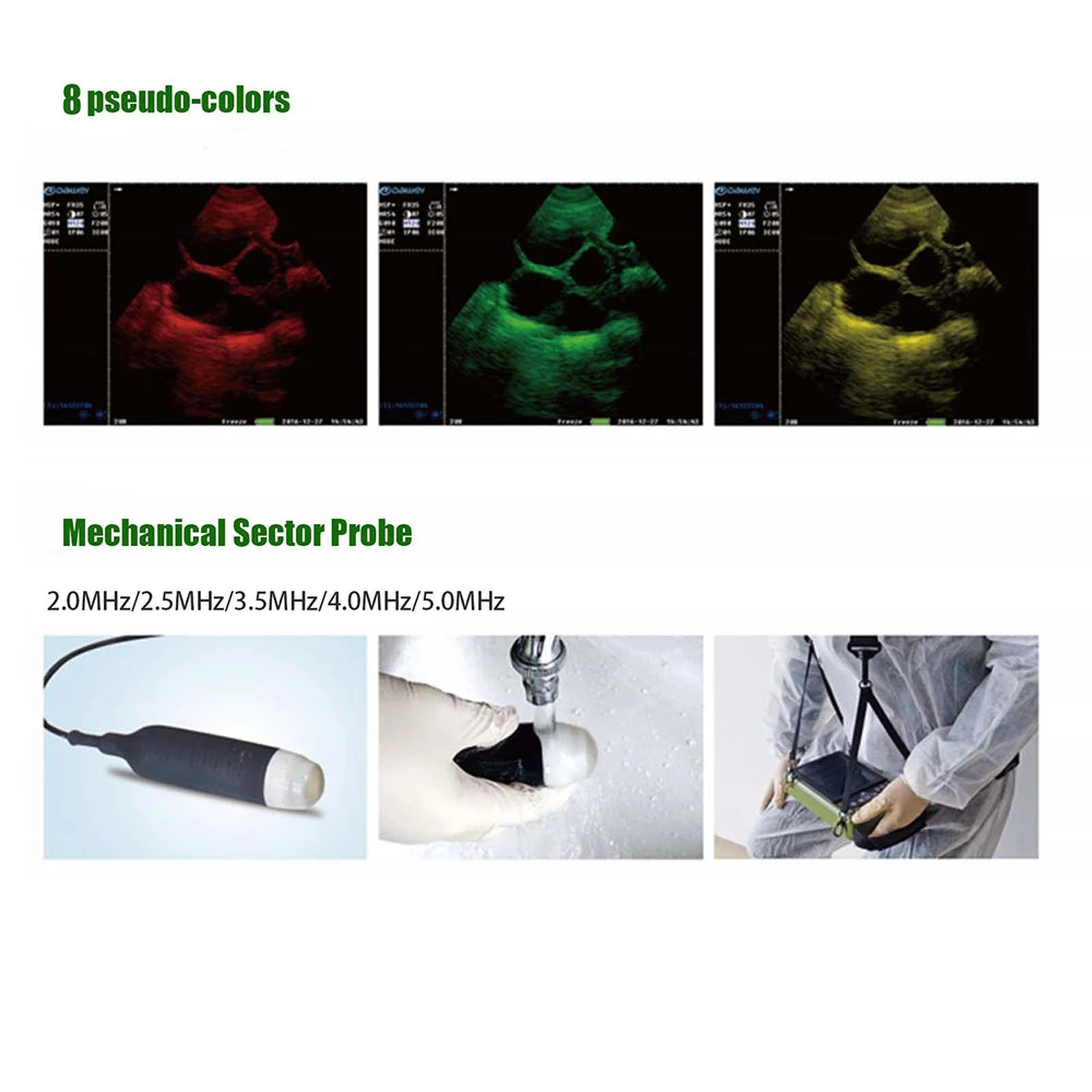 Portable Veterinary Ultrasound Scanner for Pregnancy Vet B Ultra Machine with 3.5MHz Convex Probe