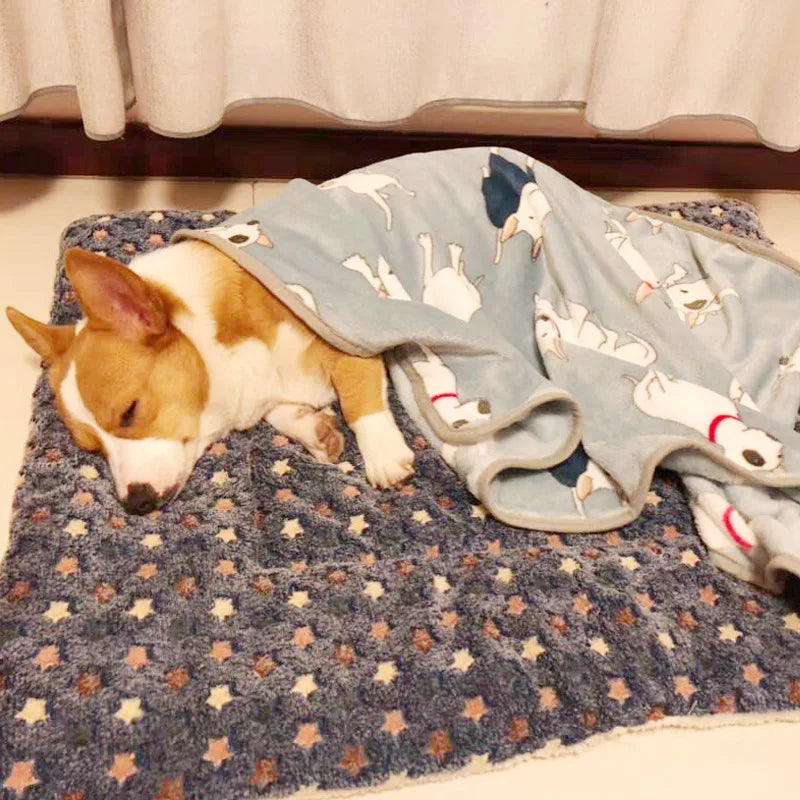 Flannel -Thickened Pet Sleeping Mat