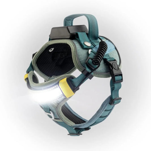 Lumi One LED Dog Harness for Night Visibility and Safety