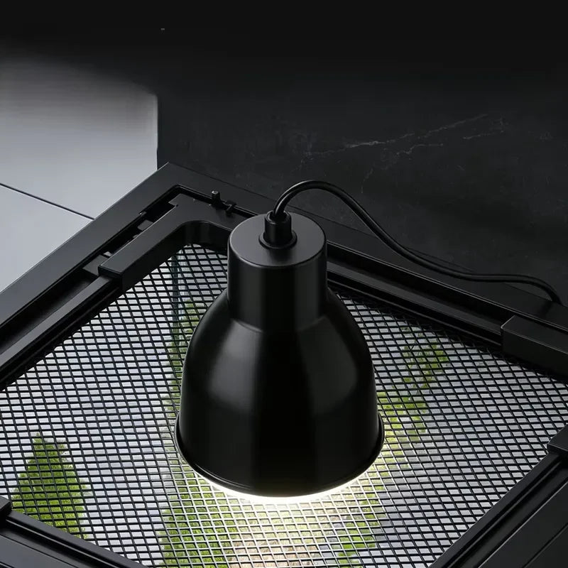 Escape-proof Reptile Glass Terrarium Insulation 4x2x2 Enclosures Durable Large Cage
