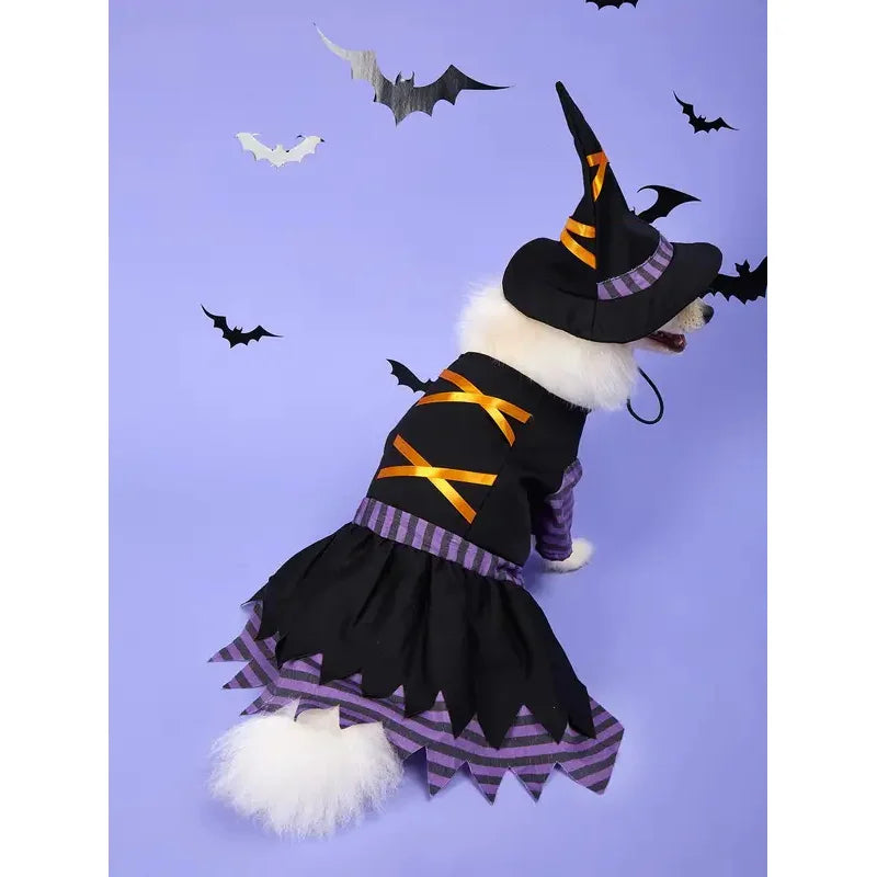 Halloween Pet Witch Costume Fancy Dress
