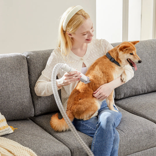 Professional Pet Grooming Vacuum Kit 3 Suction Modes and 5 Groomer Tools with Cordless Low Noise Clippers
