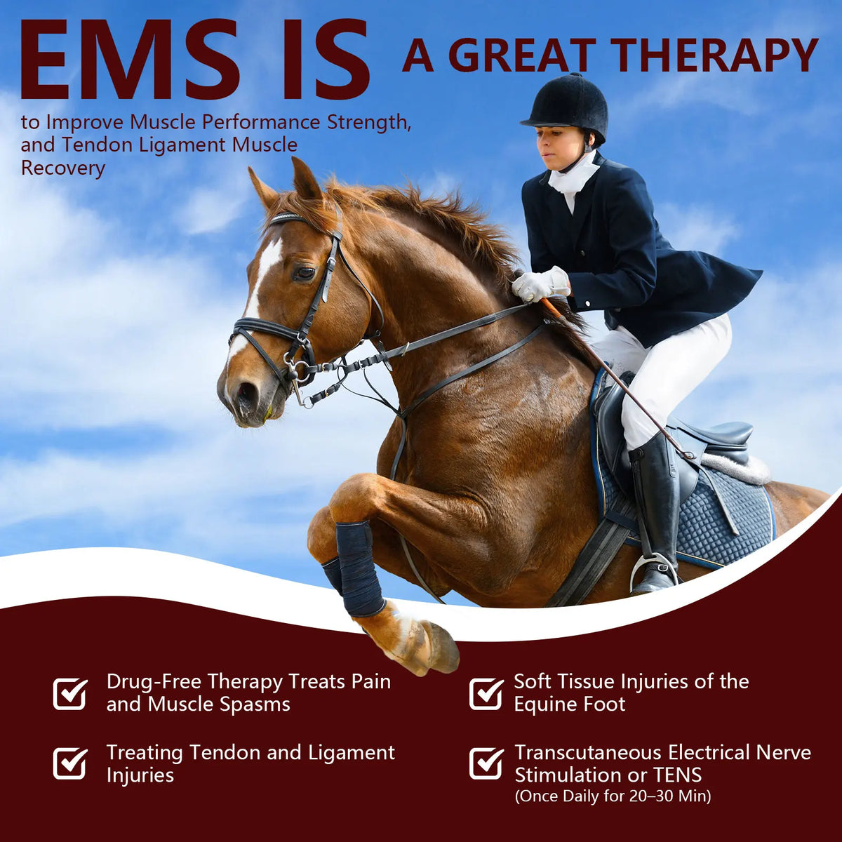 Laser Therapy Device for Horse Pets 3in1 Red Light Therapy Device Muscle Recovery Joint Pain Relief Skin Health Care