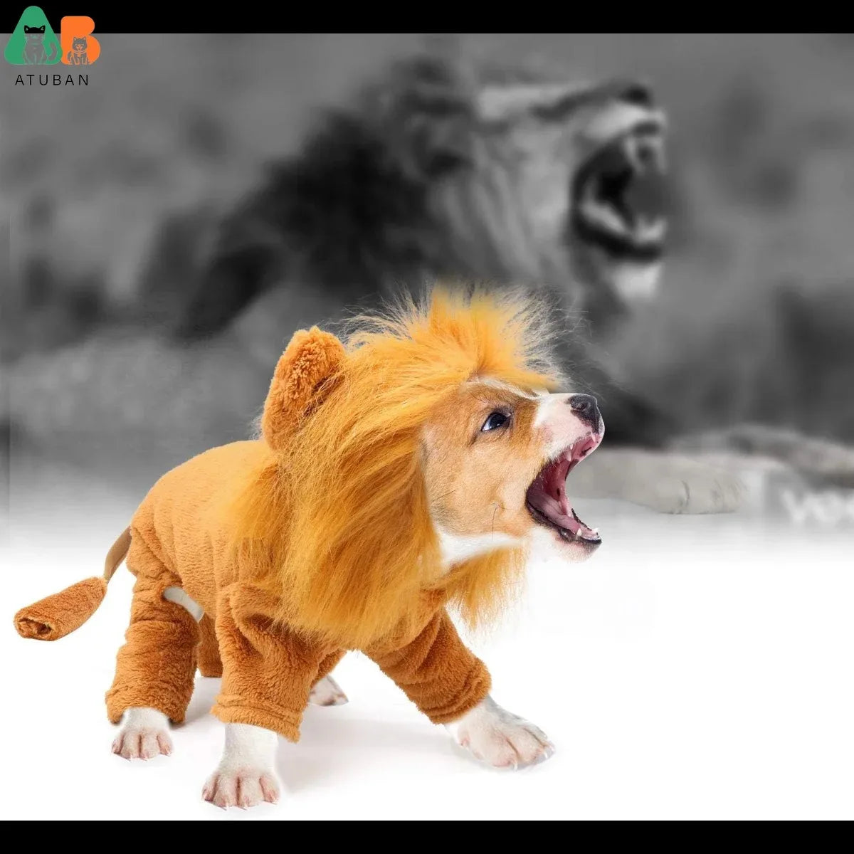 Funny  Dog Lion Costume